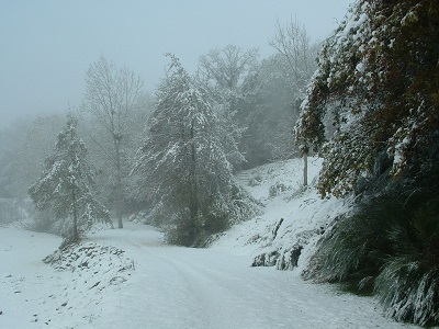 lac et neige 007 web.jpg