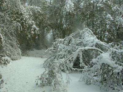 lac et neige 015 web.jpg