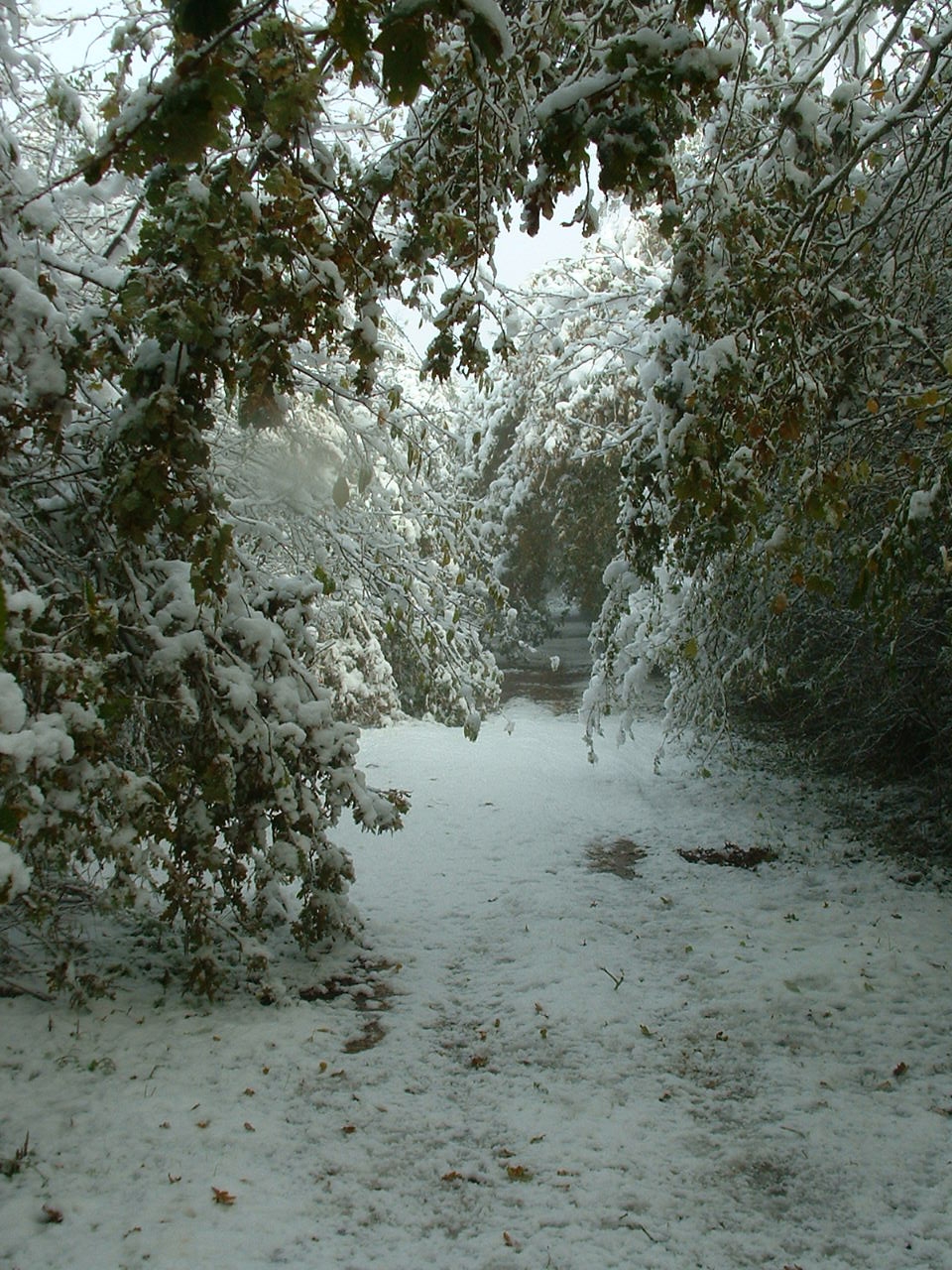 lac et neige 017.JPG