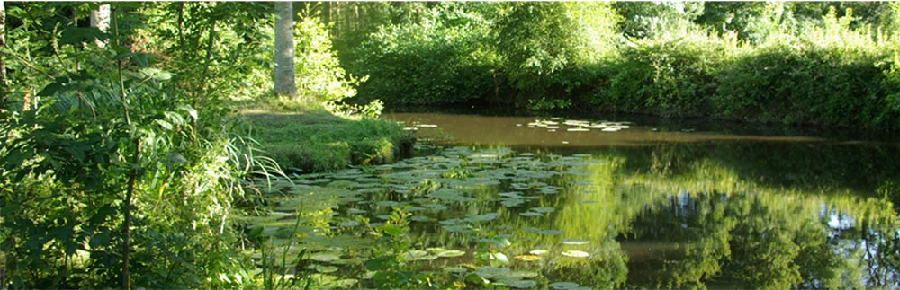 Lac du Jaunay