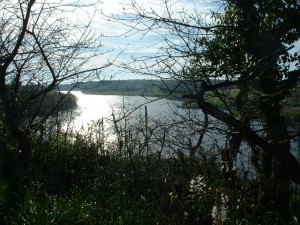 Lac du Jaunay 004